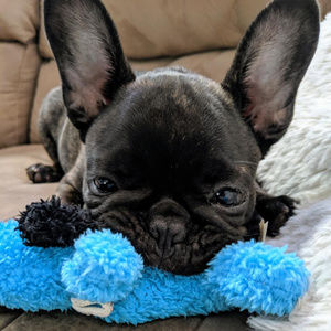 Meet your Posher, Rochelle